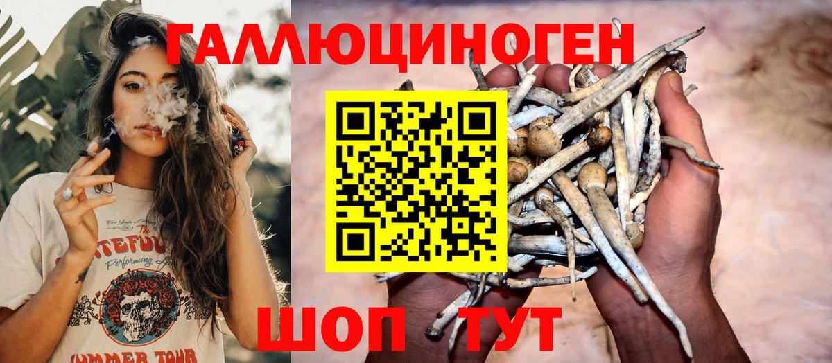 А ПВП Острогожск