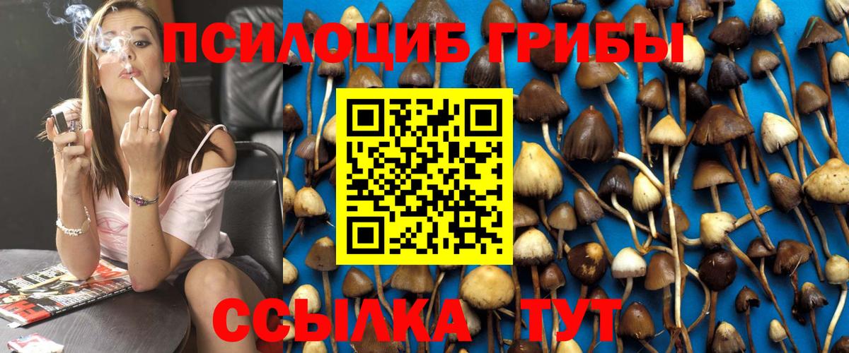 Острогожск  Псилоцибиновые грибы мицелий  Вход с VPN  Псилоцибиновые грибы MAGIC MUSHROOMS 